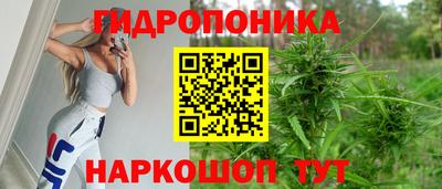 ECSTASY Новозыбков
