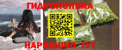 ECSTASY Новозыбков