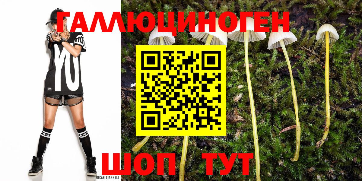 Псилоцибиновые грибы Magic Shrooms  Галлюциногенные грибы Cubensis  закладка  Семилуки  Вход с VPN 