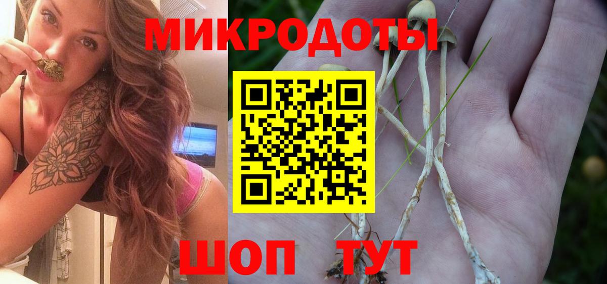 Галлюциногенные грибы ЛСД Семилуки